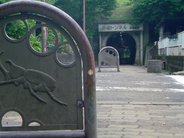 b0154343_1501918.jpg