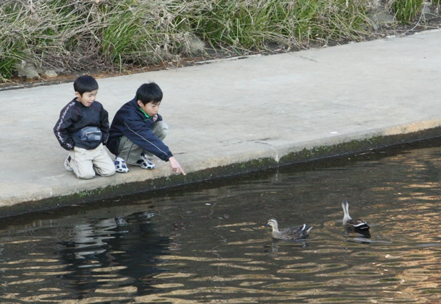 師走の風景（３）_e0117950_21283753.jpg