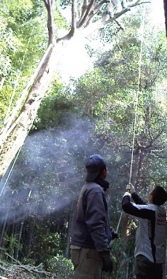 e0173658_56552.jpg