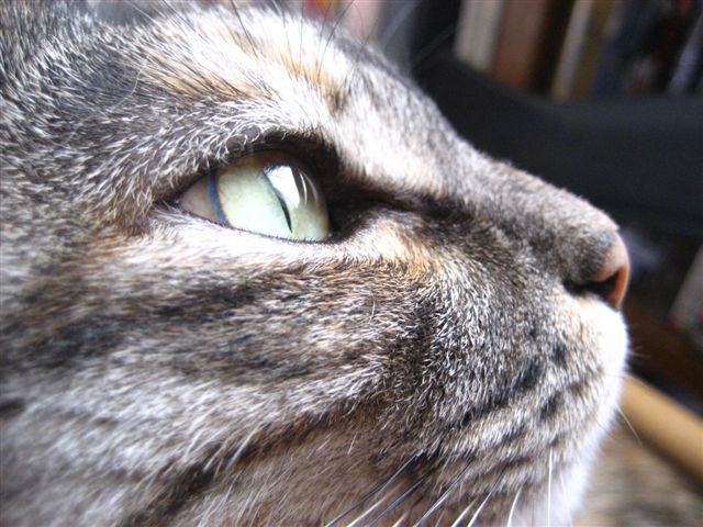 a0123465_21312414.jpg
