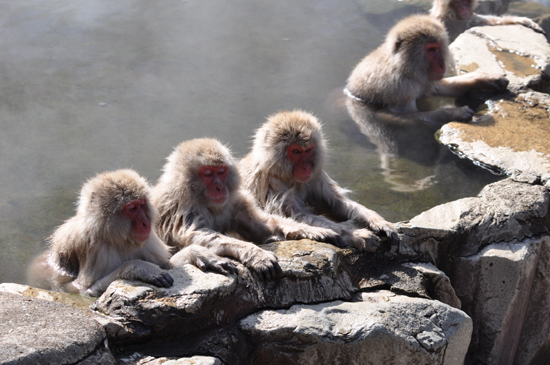 2009年かさこの旅_e0171573_0574717.jpg