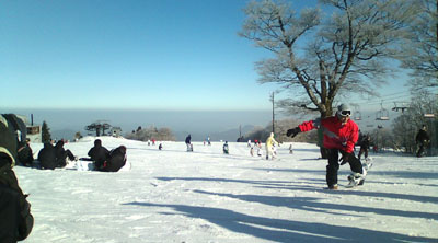 e0173183_913991.jpg