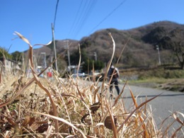 b0050787_23521238.jpg