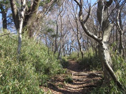 b0050787_23561258.jpg