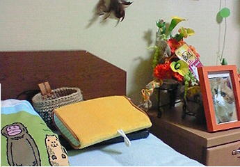 f0187700_16242890.jpg