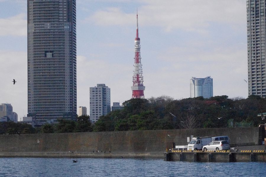 浅草～東京タワーツアーの水上バス編_c0187503_17124440.jpg