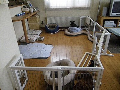 b0151504_9295877.jpg