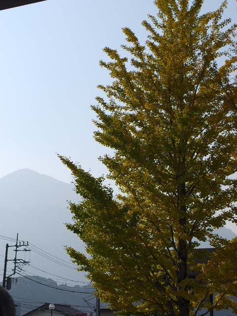 建築家・関根要太郎、秩父での少年時代_f0142606_10405612.jpg