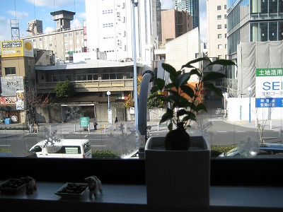 福島でランチからカフェ、スイーツまで頂きました♪_b0143308_162102.jpg