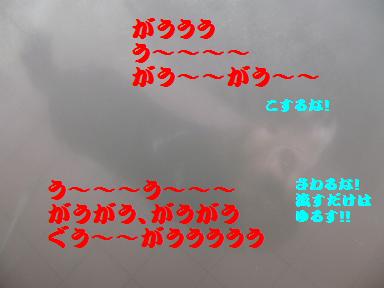 d0104209_23424357.jpg