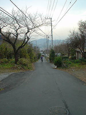 d0127209_2342349.jpg