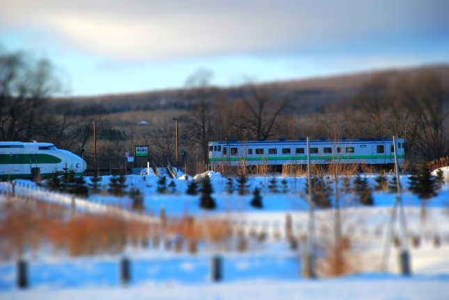 a0146011_08019.jpg