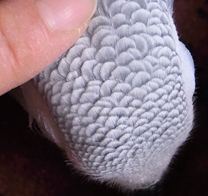 c0133013_21173280.jpg
