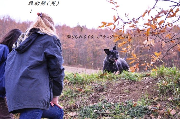南仏でクリスマス3 食べ物編_d0104926_11994.jpg