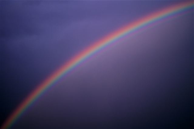e0044929_8494537.jpg