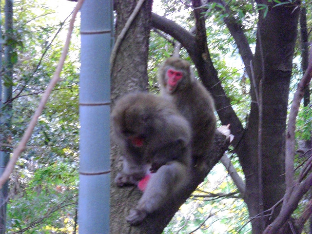 b0088444_22323755.jpg