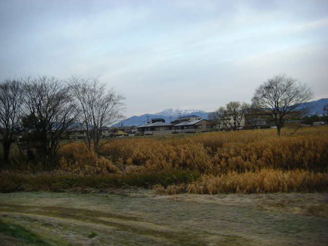 b0088444_2255722.jpg