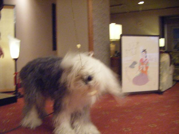 c0210546_17164535.jpg