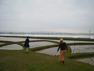 b0179047_10225298.jpg