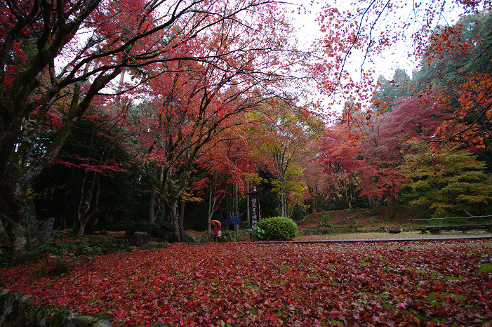 f0152550_17522477.jpg