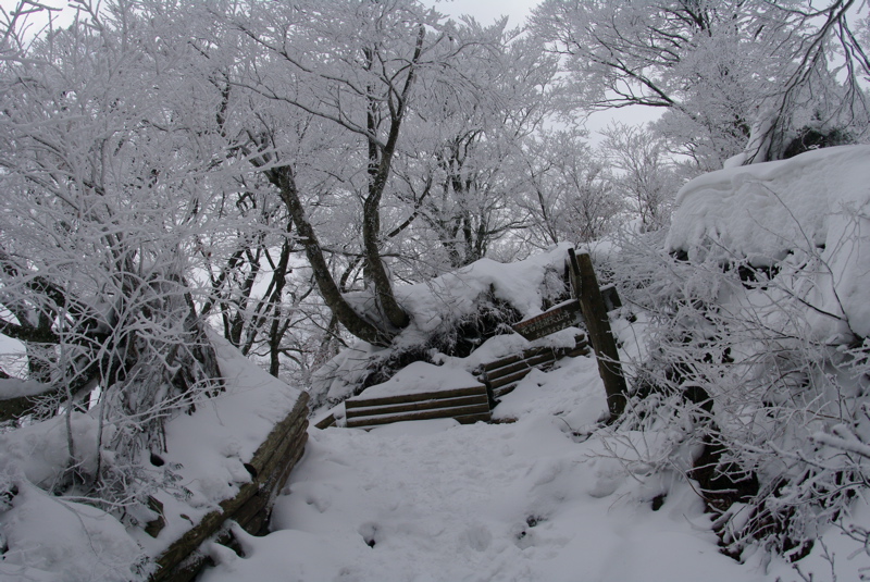 大山登山その１_a0009554_18101676.jpg