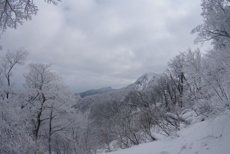 大山登山その１_a0009554_1893331.jpg