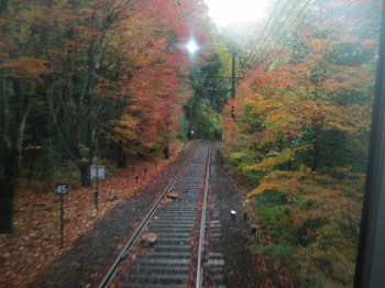 京都プチ旅行記・２_a0061057_20315131.jpg