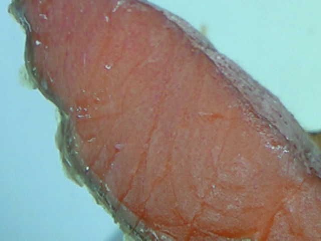 f0146768_9224923.jpg