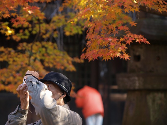 豪徳寺2009　秋を楽しむ_d0016584_18112735.jpg