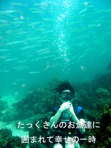 Welcome新婚さん!_f0144385_03062.jpg