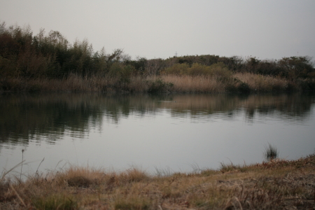 d0133693_22312673.jpg