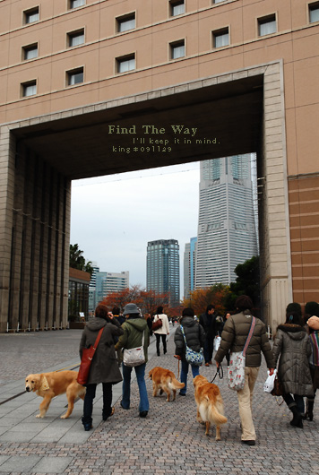 【犬的散歩日和】横浜・汽車道　１／２ 〜 レールを辿って_f0054594_703443.jpg