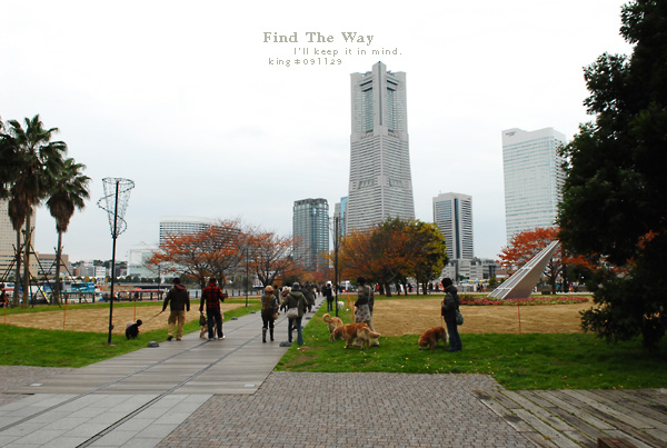 【犬的散歩日和】横浜・汽車道　１／２ 〜 レールを辿って_f0054594_705367.jpg