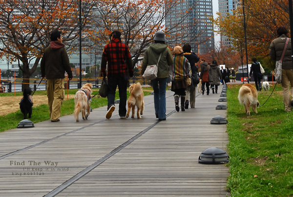 【犬的散歩日和】横浜・汽車道　１／２ 〜 レールを辿って_f0054594_711149.jpg
