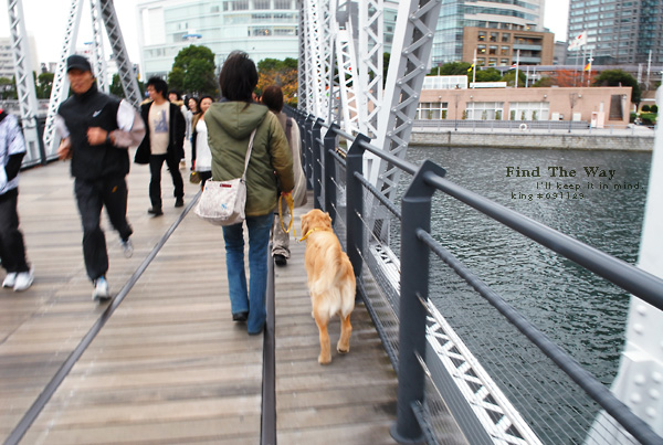 【犬的散歩日和】横浜・汽車道　１／２ 〜 レールを辿って_f0054594_714880.jpg