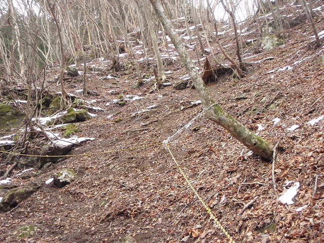 台高山系 マナコ谷リベンジ_c0147398_13103894.jpg