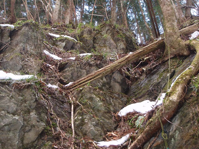 台高山系 マナコ谷リベンジ_c0147398_13105665.jpg