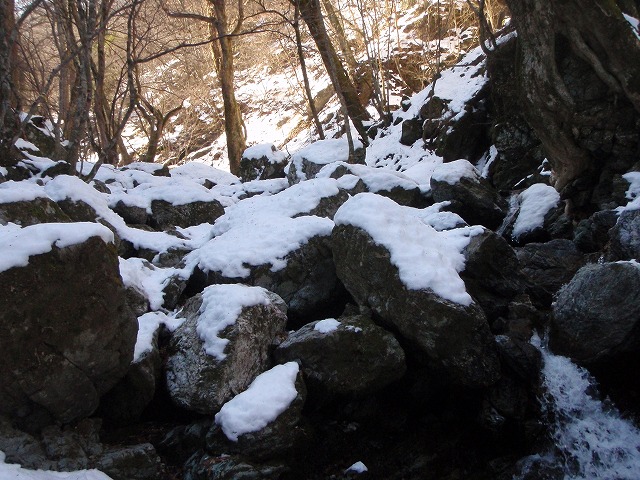 台高山系　マナコ谷リベンジ_c0147398_13111829.jpg