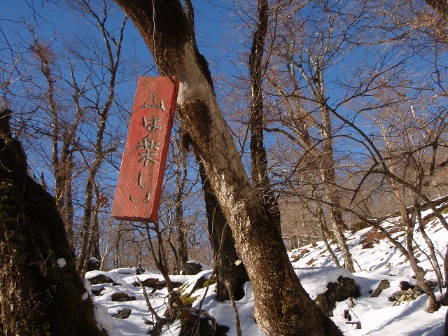 台高山系 マナコ谷リベンジ_c0147398_13112714.jpg