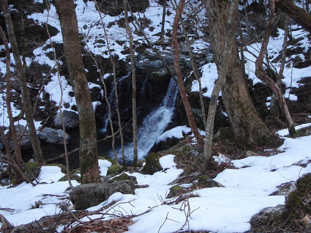 台高山系 マナコ谷リベンジ_c0147398_1311519.jpg