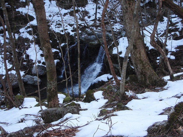 台高山系　マナコ谷リベンジ_c0147398_1311519.jpg