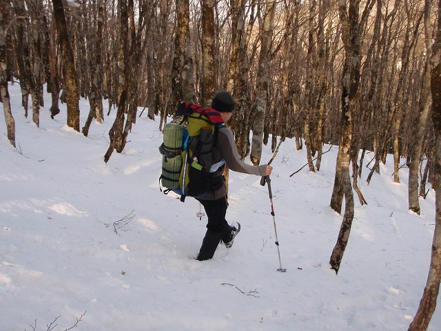 台高山系　マナコ谷リベンジ_c0147398_13121785.jpg