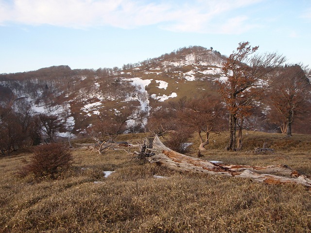 台高山系 マナコ谷リベンジ_c0147398_13124246.jpg