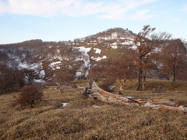 台高山系　マナコ谷リベンジ_c0147398_13124246.jpg