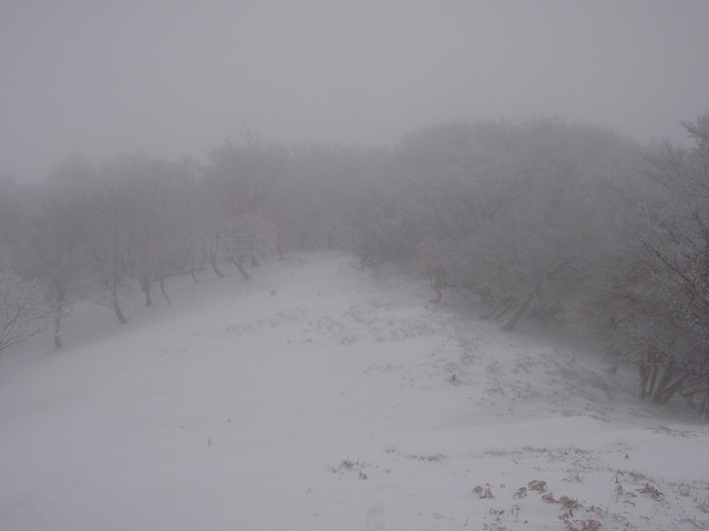 台高山系　マナコ谷リベンジ_c0147398_13141616.jpg