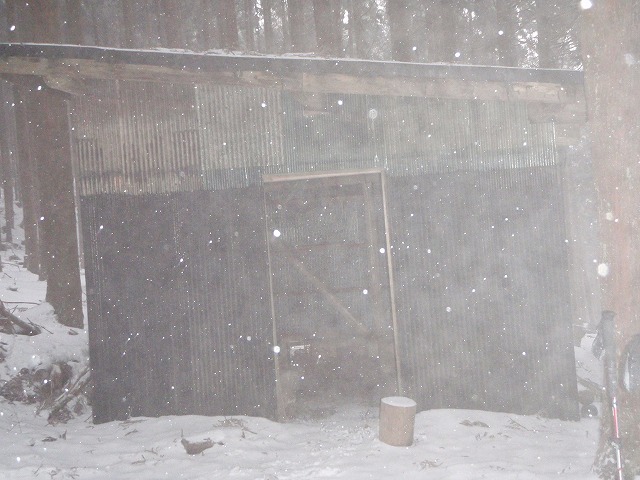 台高山系 マナコ谷リベンジ_c0147398_13144165.jpg