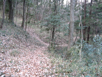 a0117599_07523.jpg