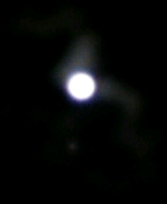 a0080002_21401559.jpg
