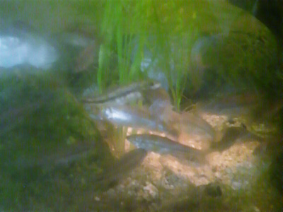 f0082402_926819.jpg