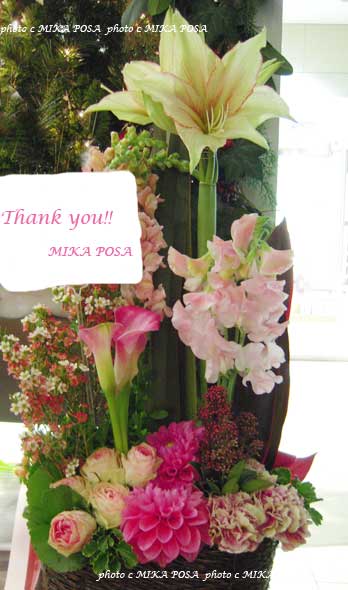 Thank you for 2009!!_b0164803_22472959.jpg